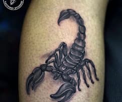 3D Optical Shadow Scorpion